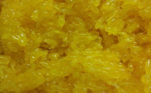 Sacs di mandarino per cuocere al forno